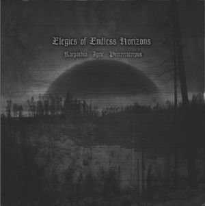 Elegies of Endless Horizons