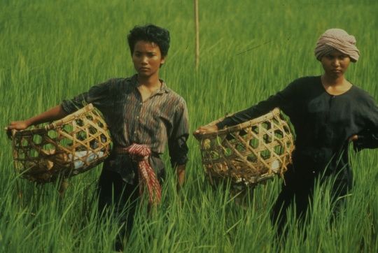 Les Gens de la rizière - Film (1994) - SensCritique