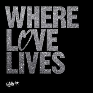 Where Love Lives Mix 2 (Continuous mix)