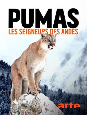 Pumas : Les Seigneurs des Andes