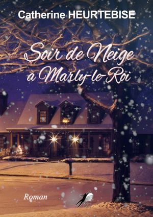 Soir de neige à Marly-le-Roi