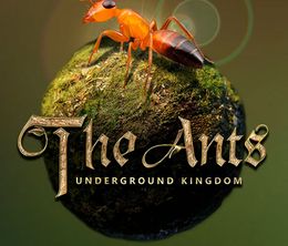 image-https://media.senscritique.com/media/000020521163/0/the_ants_underground_kingdom.jpg