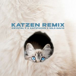 Katzen (Remix)