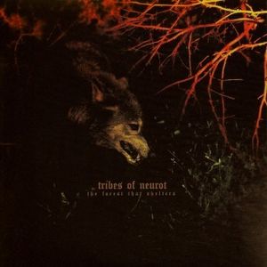 The Forest That Shelters / Filament (EP)