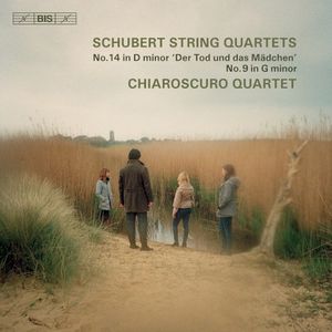 String Quartet no. 9 in G minor, D 173: II. Andantino