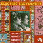 Pochette Electric Ladyland II