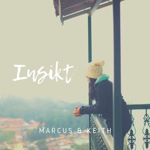 Insikt (Single)