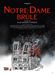 Affiche Notre-Dame brûle