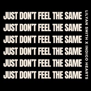 Just Don’t Feel the Same (radio edit) (Single)