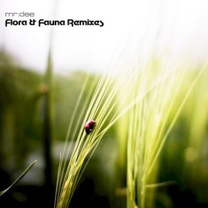 Flora & Fauna (Everydaymore remix)