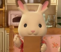 image-https://media.senscritique.com/media/000020533304/0/sylvanian_families.jpg