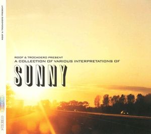 A Collection of Various Interpretations of Sunny