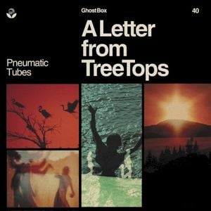 A Letter from TreeTops