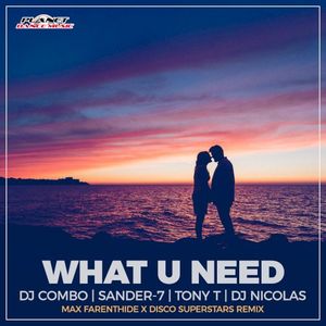 What U Need (Max Farenthide & Disco Superstars remix)