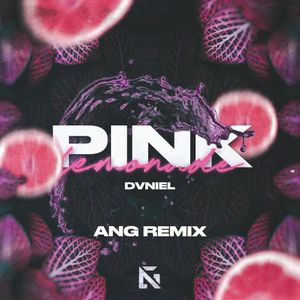 Pink Lemonade (ANG remix) (Single)