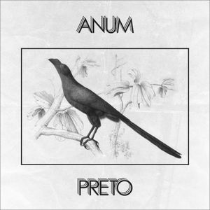 Anum Preto