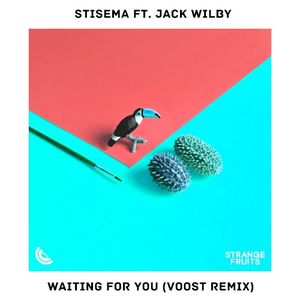 Waiting for You (Voost remix)