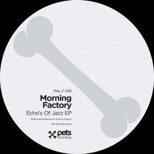 Echo’s of Jazz EP (EP)