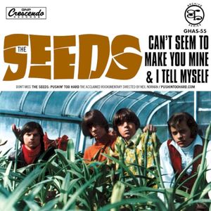 Can't Seem To Make You Mine / I Tell Myself (Single)