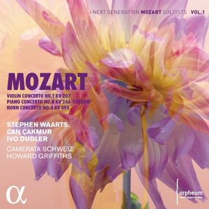 Violin Concerto no. 1 in B-flat major, K. 207: I. Allegro moderato