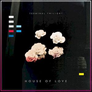 House Of Love