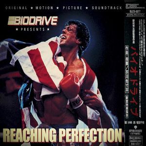 Reaching Perfection (Single)