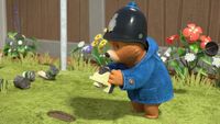 Paddington and the Vegetable Thief