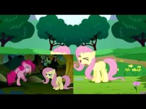 Avast Fluttershy’s Yellow Peach (Single)