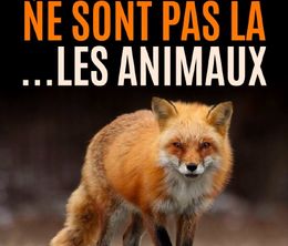 image-https://media.senscritique.com/media/000020558146/0/quand_l_homme_n_est_pas_la_les_animaux_dansent.jpg