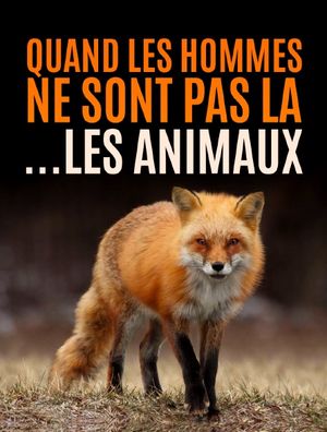 Quand l'homme n'est pas là...les animaux dansent !