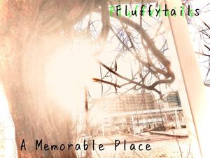 A Memorable Place (Single)