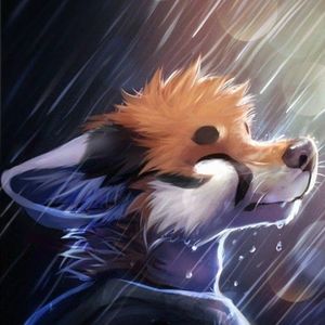 Rainy (Single)