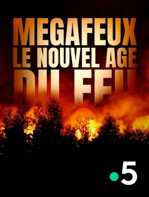 Mégafeux - Le nouvel âge du feu