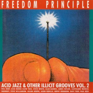 Freedom Principle (Acid Jazz & Other Illicit Grooves Vol. 2)