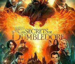 image-https://media.senscritique.com/media/000020563396/0/les_animaux_fantastiques_les_secrets_de_dumbledore.jpg