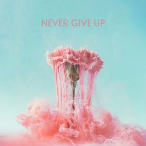 Never Give Up (Single)