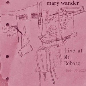 Live at Mr. Roboto (Live)