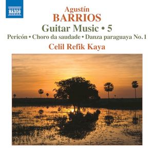 Guitar Music 5: Pericón / Choro da saudade / Danza paraguaya no. 1