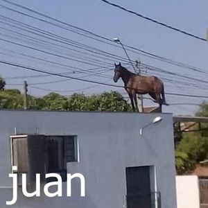 Juan Of A Million