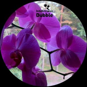 Orkidea (EP)