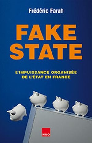 Fake State