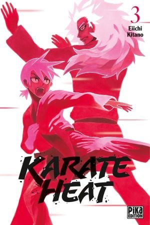 Karate Heat, tome 3