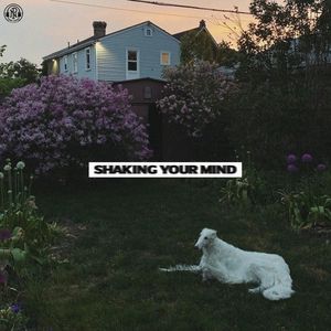 Shaking Your Mind (Single)