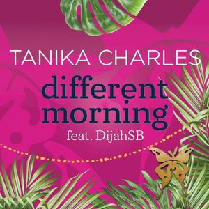Different Morning (radio edit)