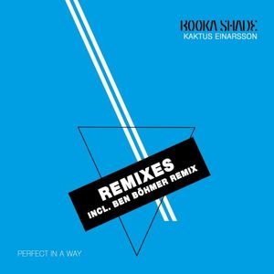 Perfect in a Way [REMIXES]
