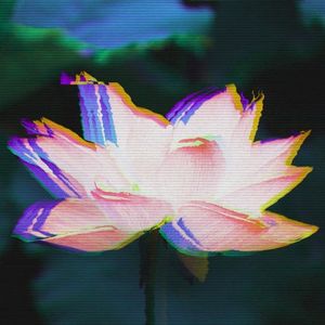 bloom (instrumental) (Single)