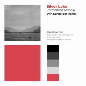 Permanent Amnesy (Evin Schneider Remix) (Single)