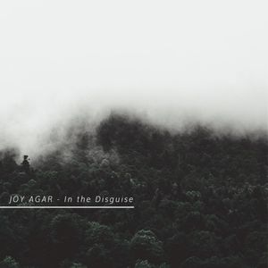 In the disguise (EP)