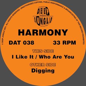 Digging / I Like It / Who Are You (EP)