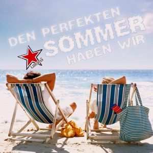 Den perfekten Sommer haben wir (Single)
